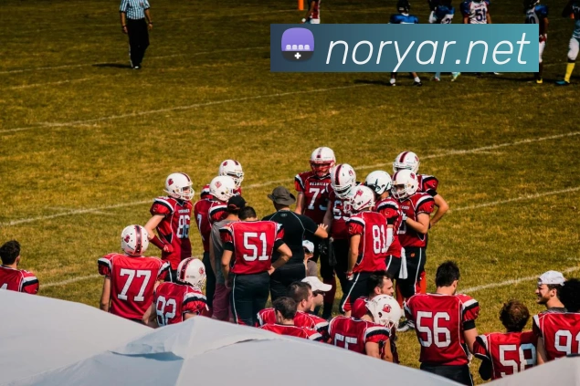 买球官方APP 高清赛事图